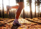 exercise